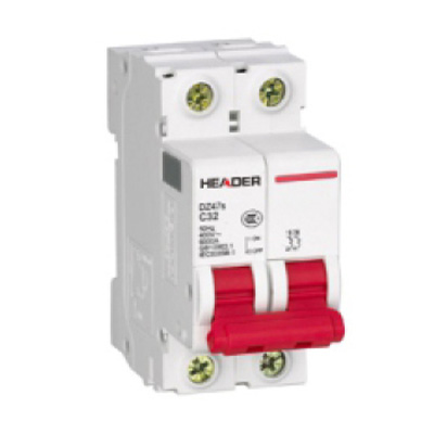 DZ47-63 2P Mini Circuit Breaker